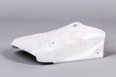 Bikesplast Heckverkleidung offen mit Basis Sitz BMW S1000RR 2019+